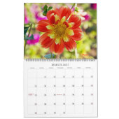 Dahlien Kalender (Mär 2027)