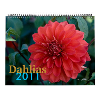 Dahlien Kalender