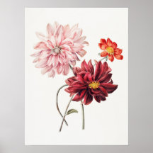 Dahlien Willem Hekking Vintage-Blumenkunst