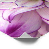 Dahliposter Poster (Ecke)