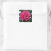 Daikagura Red Camellia Stickers (Tasche)