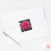 Daikagura Red Camellia Stickers (Umschlag)