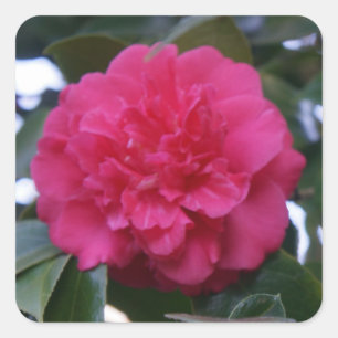 Daikagura Red Camellia Stickers