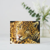 Daimler der Jaguar Postkarte (Stehend Vorderseite)