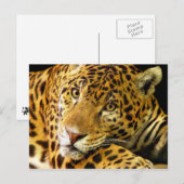 Daimler der Jaguar Postkarte (Vorne/Hinten)