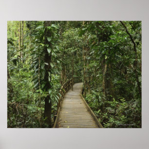 Daintree Nationalpark (UNESCO-Welterbe 2 Poster