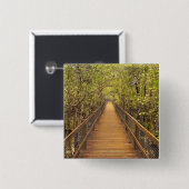 Daintree Nationalpark (UNESCO-Welterbe Button (Vorne & Hinten)