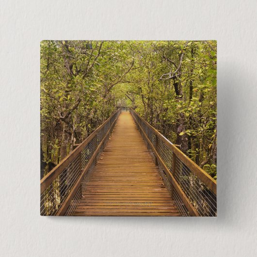 Daintree Nationalpark (UNESCO-Welterbe Button (Vorderseite)