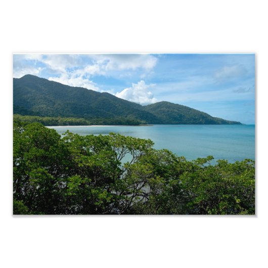 Daintree Rainforest in Cape Tribulation Fotodruck (Vorne)