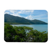 Daintree Rainforest in Cape Tribulation Magnet (Horizontal)