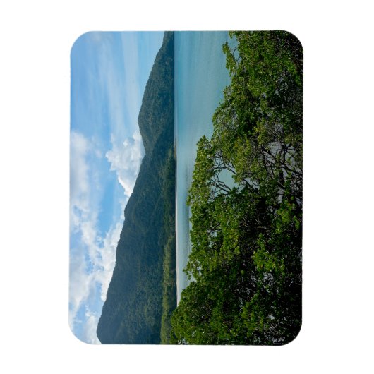 Daintree Rainforest in Cape Tribulation Magnet (Vertikal)