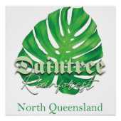 Daintree Rainforest Poster (Vorderseite)