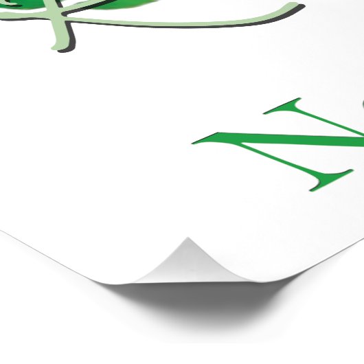 Daintree Rainforest Poster (Ecke)