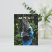 Daintree-Regenwald Australien Postkarte (Stehend Vorderseite)