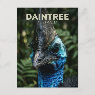 Daintree-Regenwald Australien Postkarte