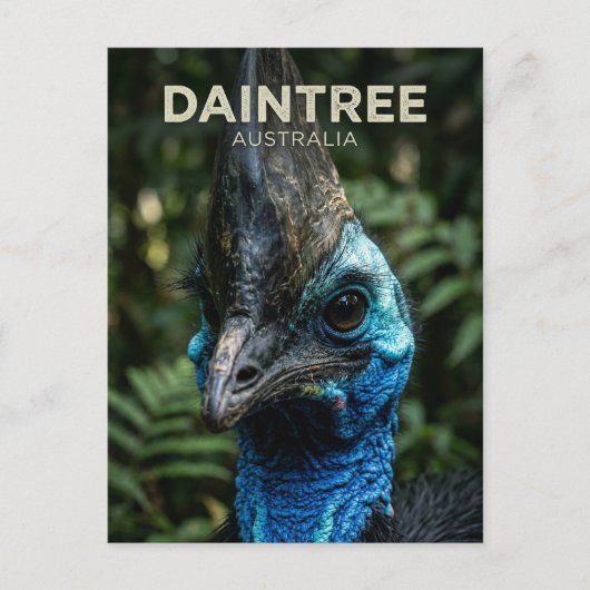 Daintree-Regenwald Australien Postkarte (Vorderseite)