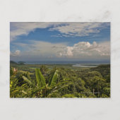 Daintree River im tropischen Regenwald von Postkarte (Vorderseite)