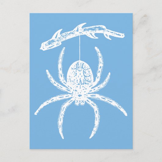 Dainty Blue Spider Postcard Postkarte (Vorderseite)