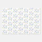 Dainty Daisies Geschenkpapier Set (Vorderseite)