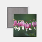 Dainty Hearts Magnet (Vorderseite/Rückseite)