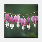 Dainty Hearts Magnet (Vorne)