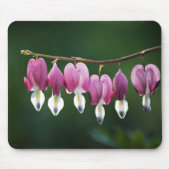 Dainty Hearts Mousepad (Vorne)