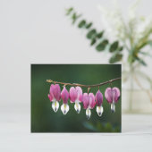 Dainty Hearts Postcard Postkarte (Stehend Vorderseite)