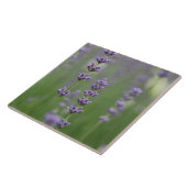 Dainty Lavender Large Square Tile Fliese (Seite)