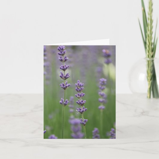 Dainty Lavender Note Card Karte (Vorderseite)