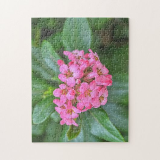 Dainty Pink Blume Garten Blumenpuzzle Puzzle (Vertikal)