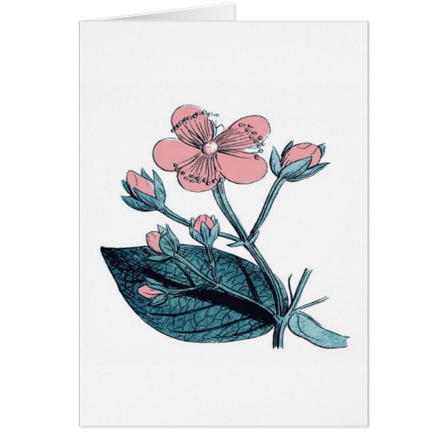 Dainty Pink Floral (Vorne)