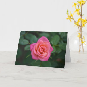 Dainty Pink Rose Note Card Karte