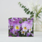 Dainty Violas Postkarte (Stehend Vorderseite)