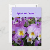 Dainty Violas Postkarte (Vorne/Hinten)
