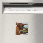 Dairy Cow Magnet (In Situ (Geschirrspüler))