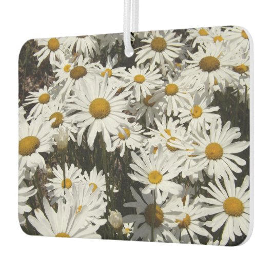 Daisies Air Freshener Autolufterfrischer (Links)