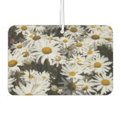 Daisies Air Freshener Autolufterfrischer (Vorderseite)