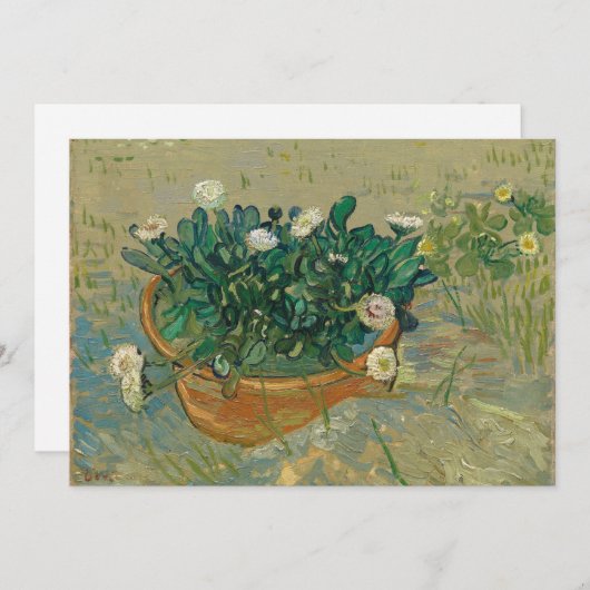 Daisies, Arles | Vincent van Gogh (Vorne/Hinten)