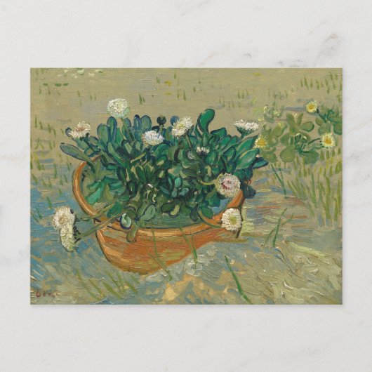 Daisies, Arles | Vincent van Gogh Postkarte (Vorderseite)