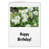 Daisies Birthday Card (Vorne)