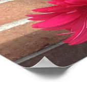 Daisies Blume Beauty Poster (Ecke)
