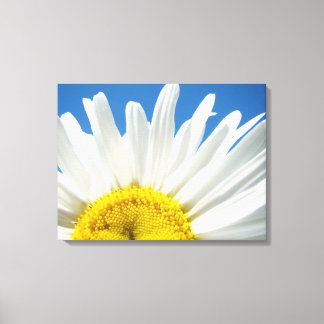 Daisies Blume Blumenkunst druckt Daisy Leinwand