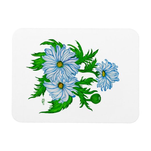 Daisies Blume Magnet (Horizontal)