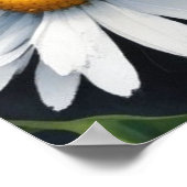 Daisies Bunch Blume Elegante Wasserfarbe Poster (Ecke)