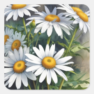 Daisies Bunch Blume Elegante Wasserfarbe Quadratischer Aufkleber