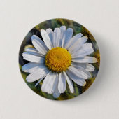 DAISIES BUTTON (Vorderseite)