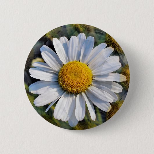 DAISIES BUTTON (Vorderseite)
