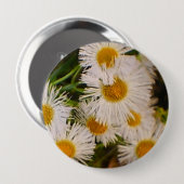 Daisies Button (Vorne & Hinten)