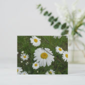 Daisies & Damselfly DIY Postkarte (Stehend Vorderseite)