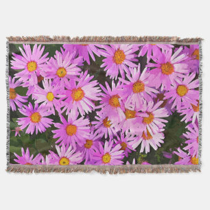 DAISIES DECKE